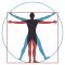 Vitruvian man. Leonardo da vinci human body perfect anatomy proportions in circle and square. Vector renaissance health men silhouette